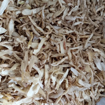 精选玉竹条片，各种规格，玉竹大全，各产地玉竹大货直供