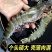 黑虎虾散装一箱净重24斤个大壳薄肉满颜色鲜亮