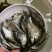 优选武鲳鳊鱼苗淡水养殖产地直销直供全国发货