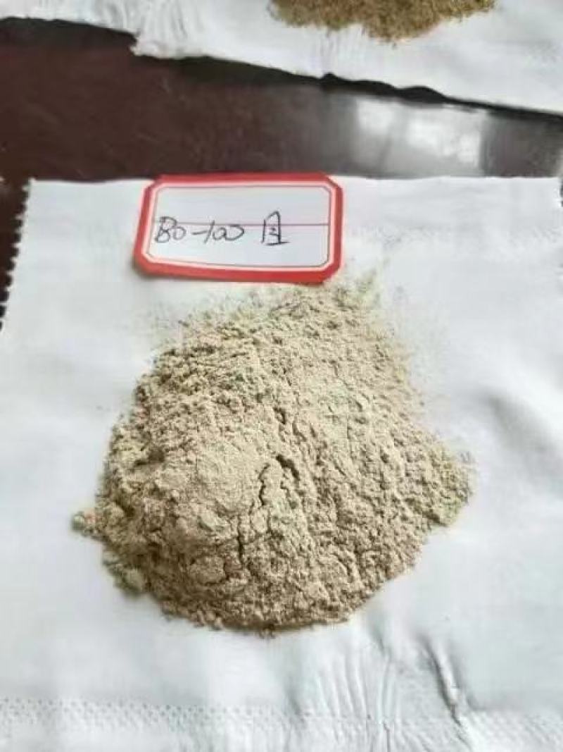骨粉