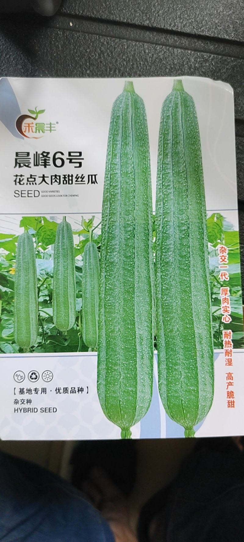早中熟大肉花点丝瓜坐果能力强一致性强头尾均匀厂家直发