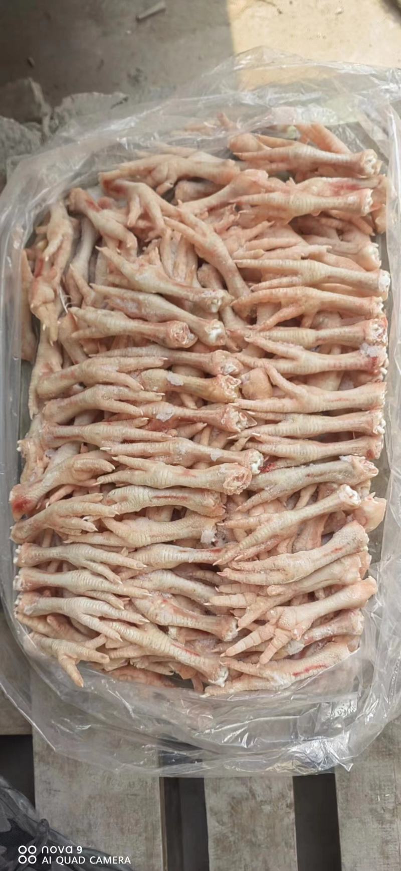 40-50克肉食鸡爪