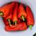 江苏鲜辣椒-红椒-现摘现发-量大从优保质保量欢迎来电