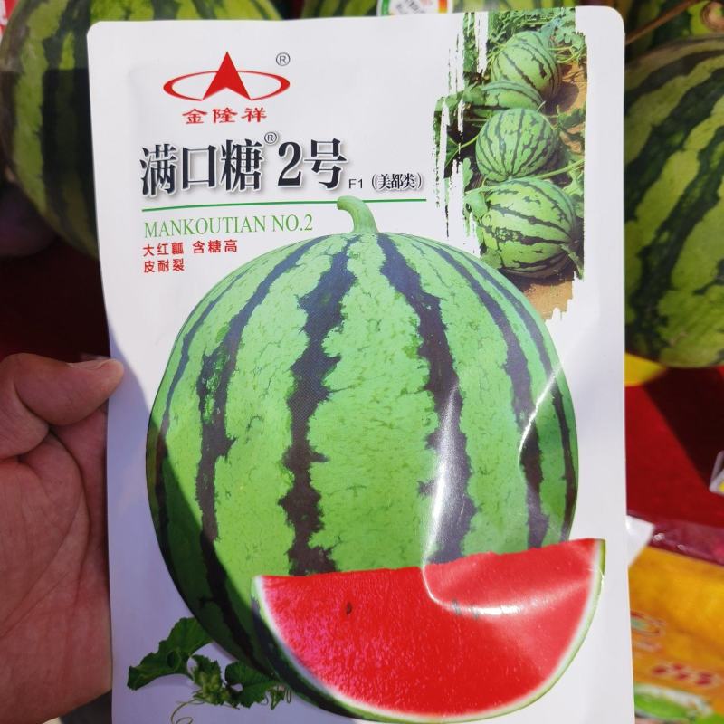 满口糖2号F1美都类西瓜种子早熟高糖大红肉甜度14度耐裂