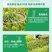 大光明达灵19.8%甲维盐唑虫酰胺茶小绿叶蝉蓟马杀虫