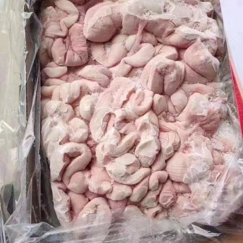 精品肥猪去把中花肠十吨山东