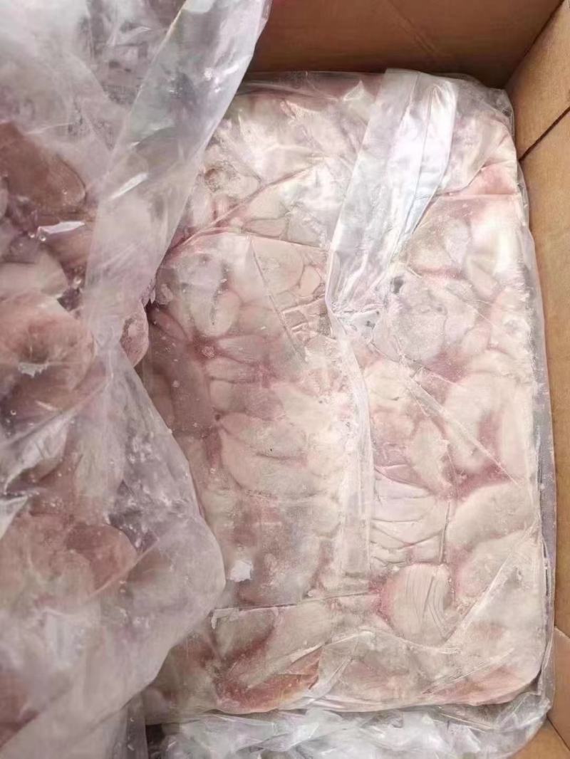 精品肥猪去把中花肠十吨山东
