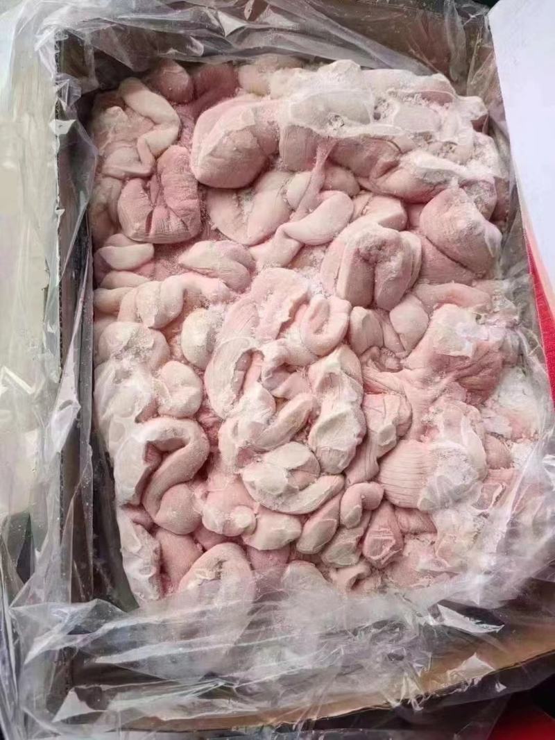 精品肥猪去把中花肠十吨山东