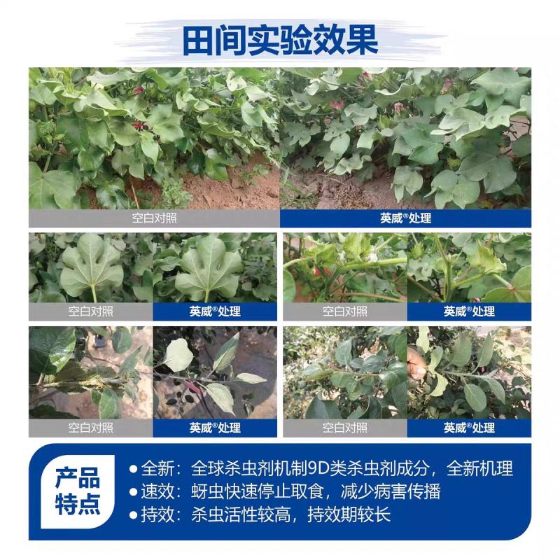 巴斯夫英威双丙环虫酯100毫升蔬菜果树烟粉虱蚜虫杀虫剂