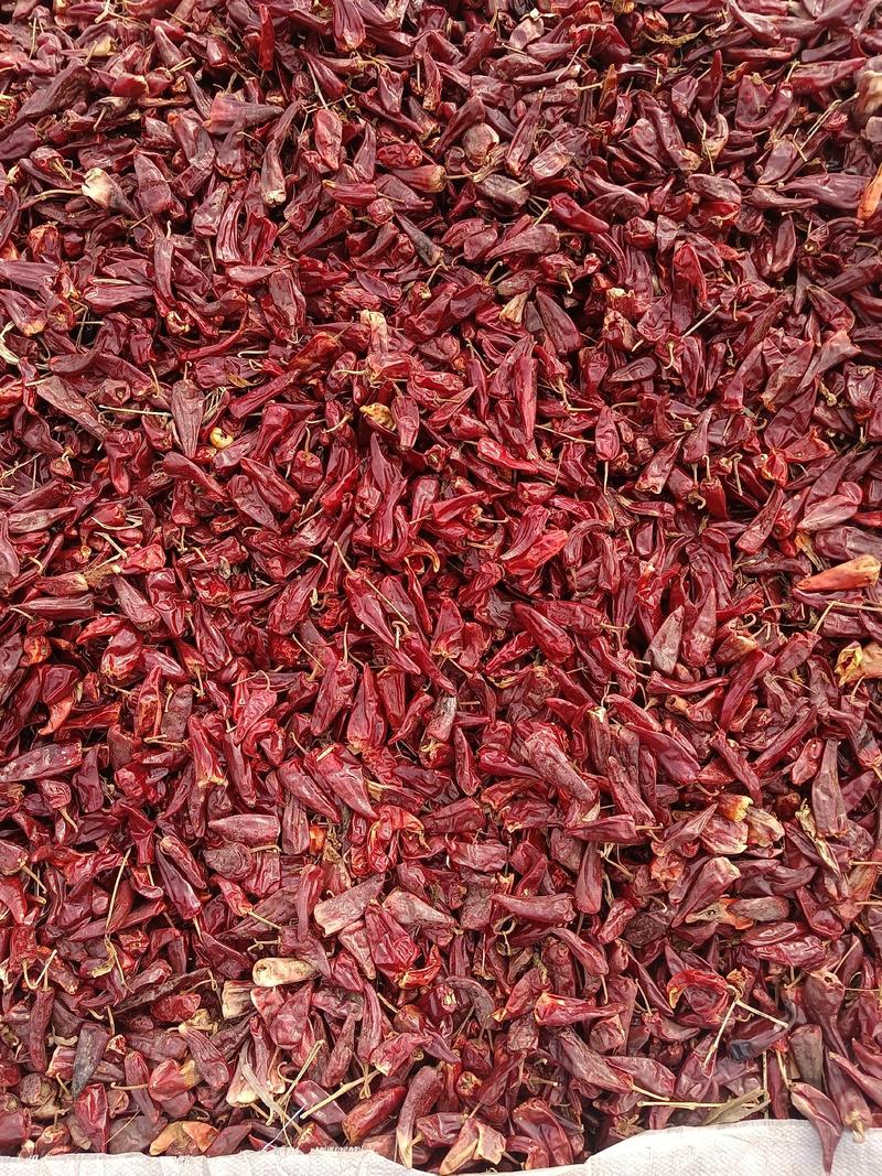 辣椒北京红大量上市，干度好颜色正，大型场地可加工。