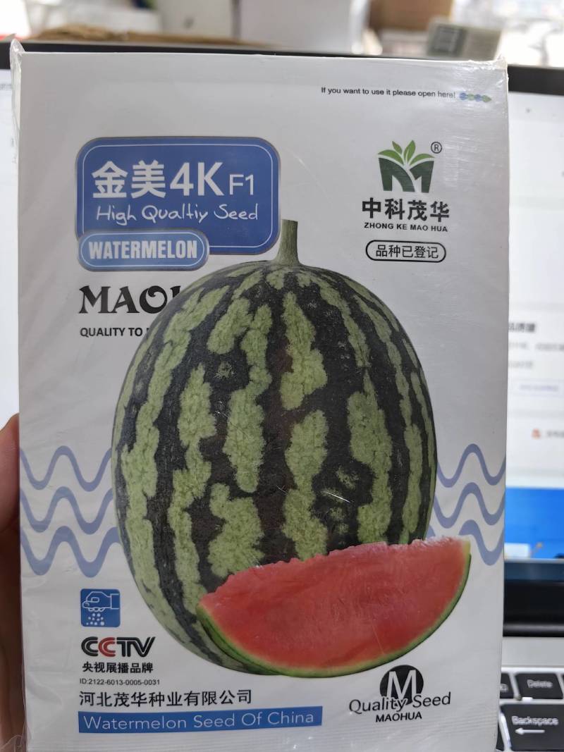 金美4K西瓜种子中小型礼品西瓜种籽红瓤甜脆超甜薄皮手掰