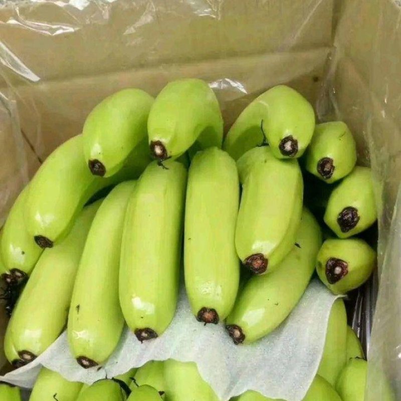 【推荐】云南红河精品香蕉一手货源产地直发全国可发货
