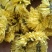 【大量供应】菊花茶婺源黄菊全国发货量大从优