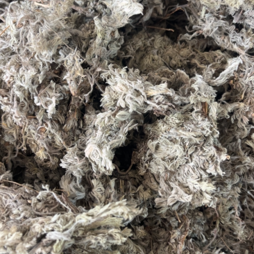 绵茵陈茵陈一公斤起发~…