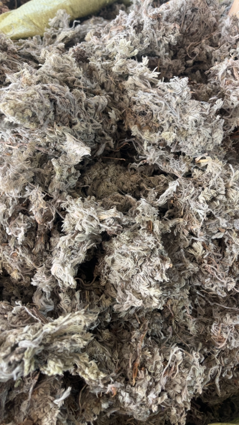 绵茵陈茵陈一公斤起发~…