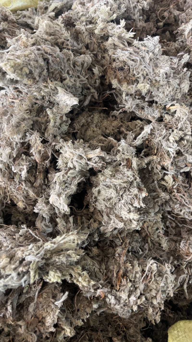 绵茵陈茵陈一公斤起发~…