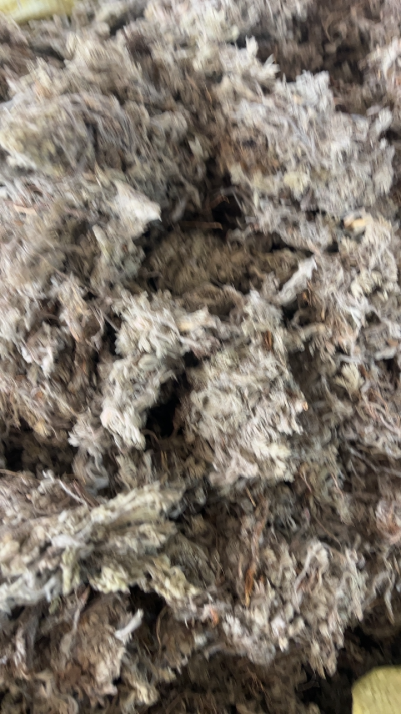 绵茵陈茵陈一公斤起发~…