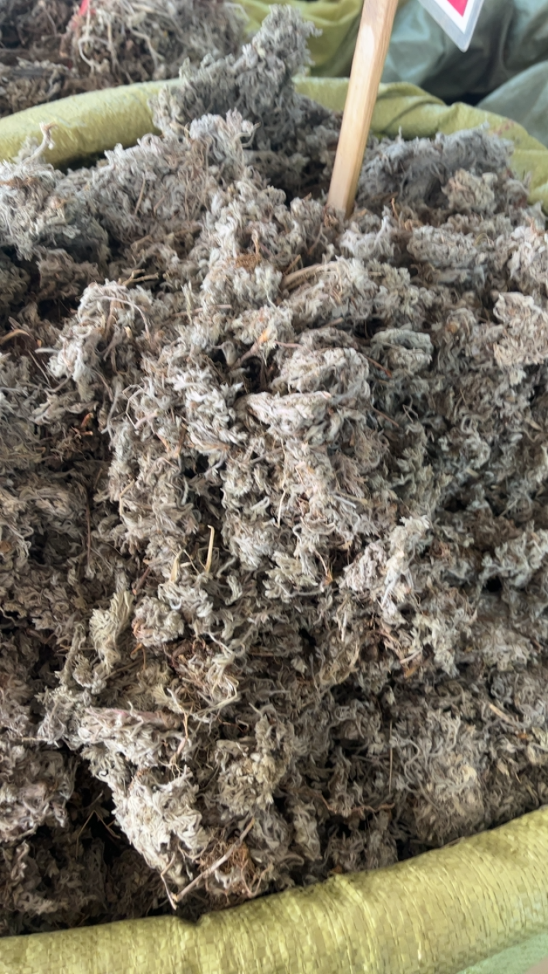 绵茵陈茵陈一公斤起发~…