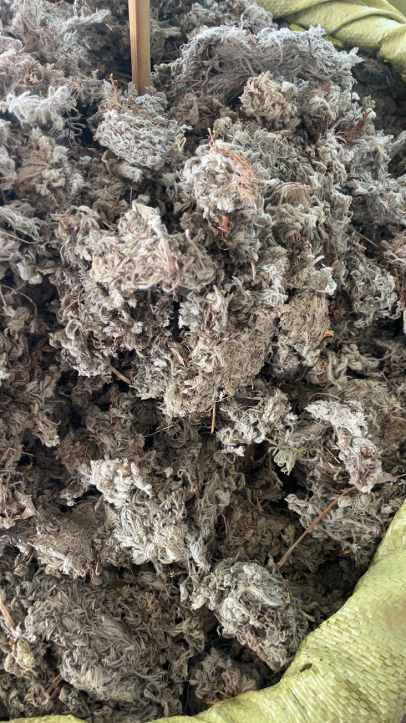 绵茵陈茵陈一公斤起发~…
