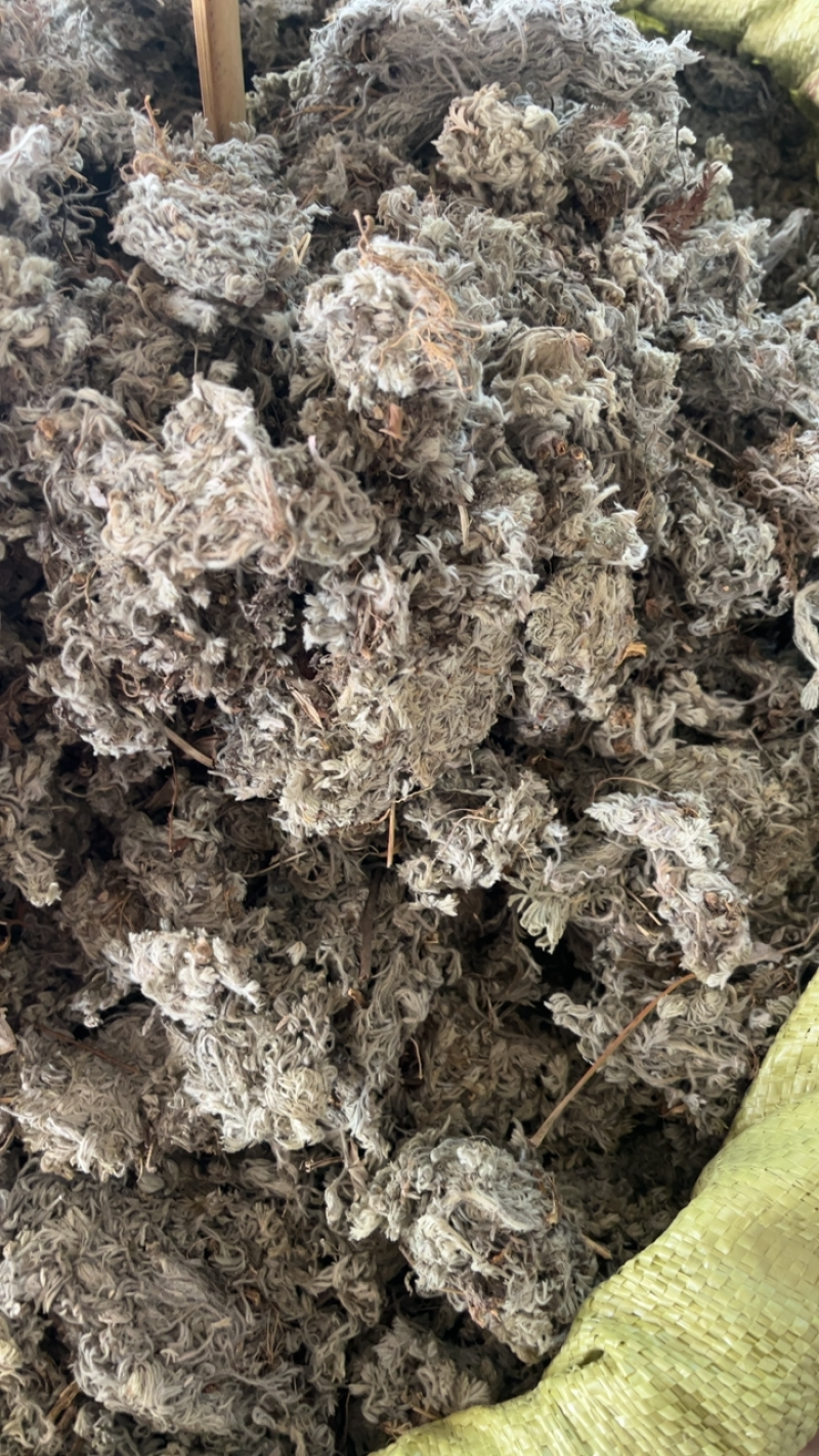 绵茵陈茵陈一公斤起发~…