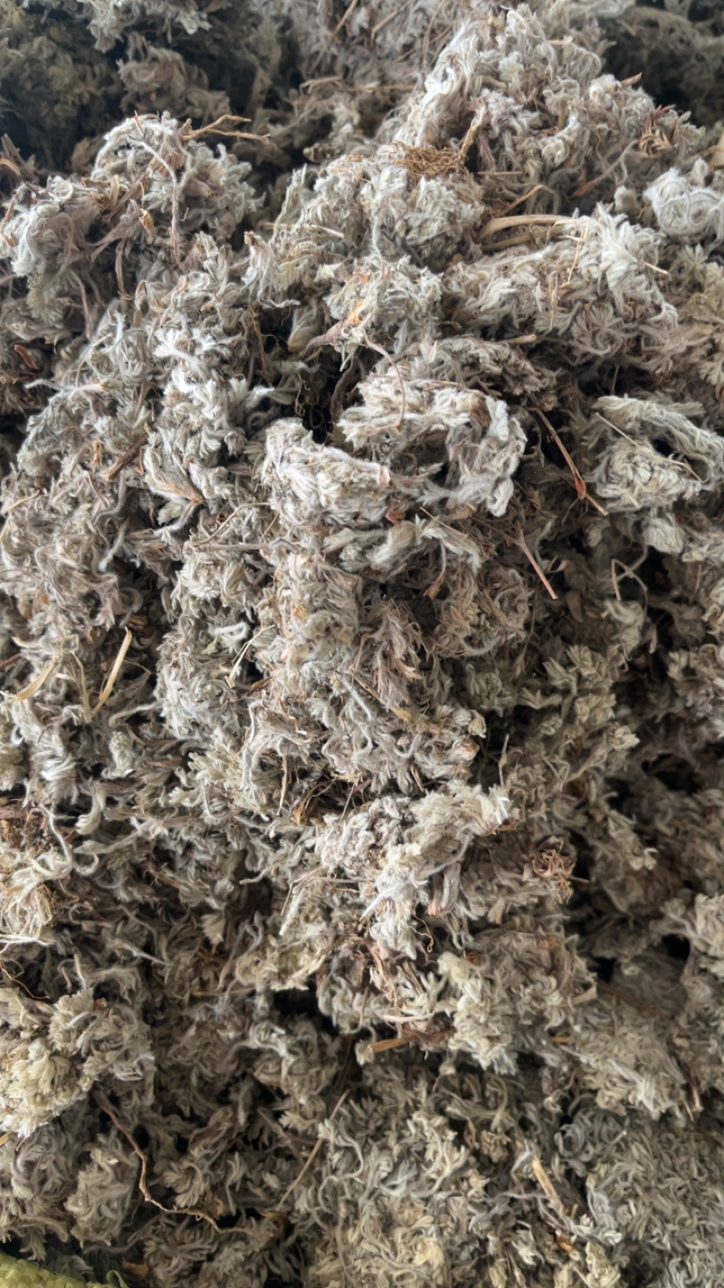 绵茵陈茵陈一公斤起发~…