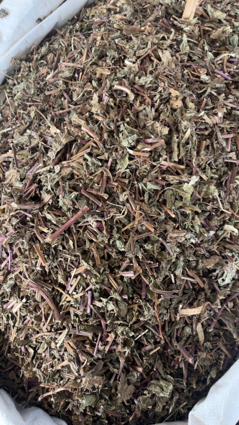 薄荷薄荷切段