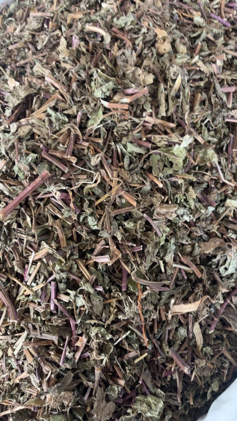 薄荷薄荷切段