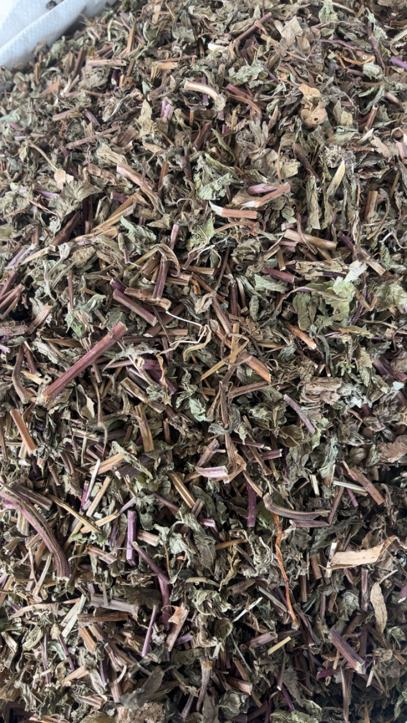 薄荷薄荷切段
