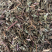 薄荷薄荷切段