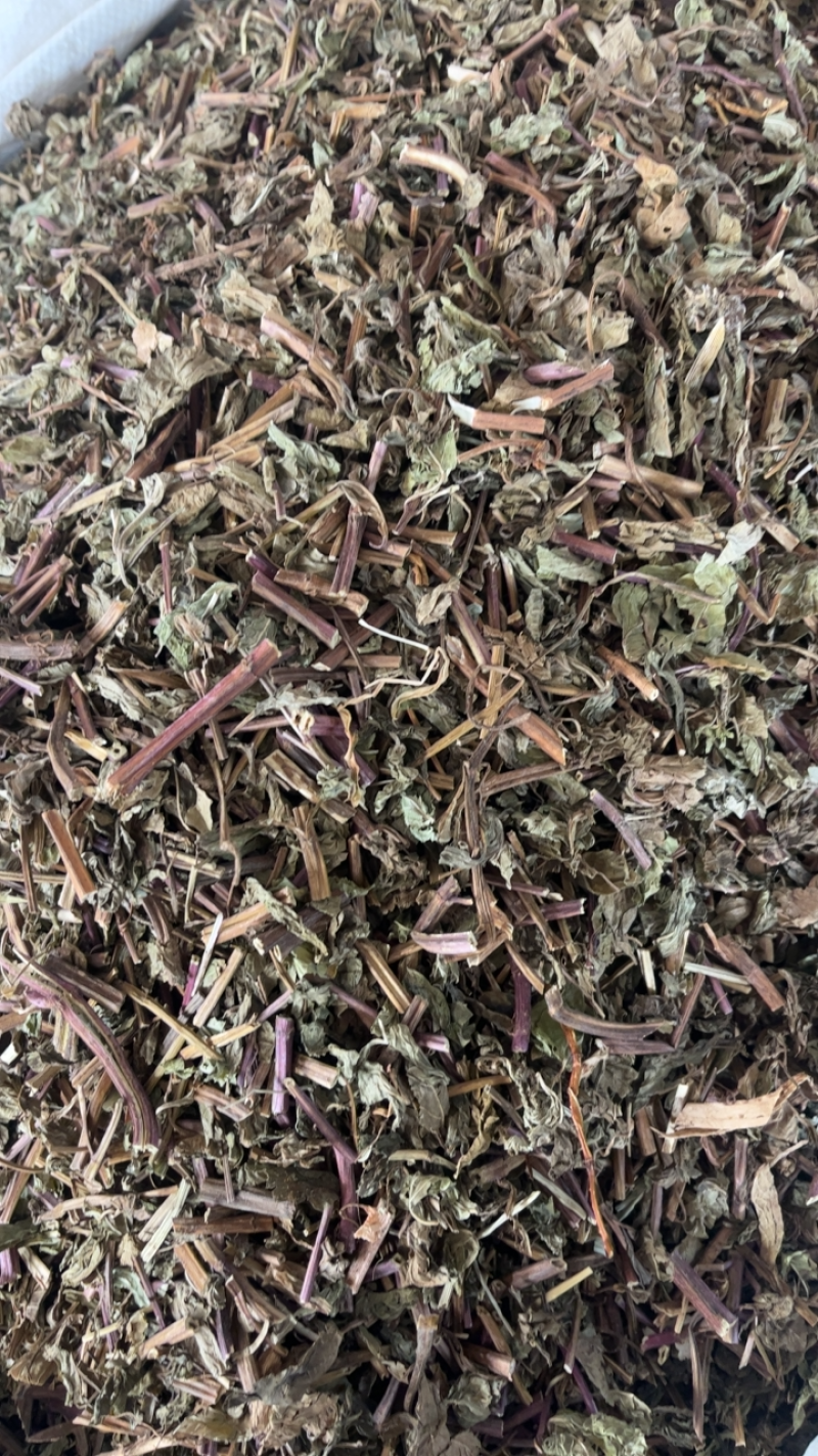 薄荷薄荷切段