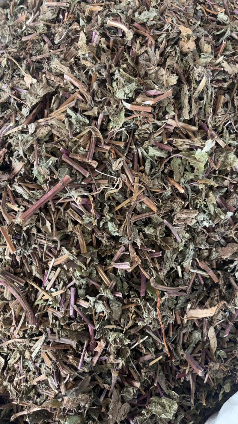 薄荷薄荷切段