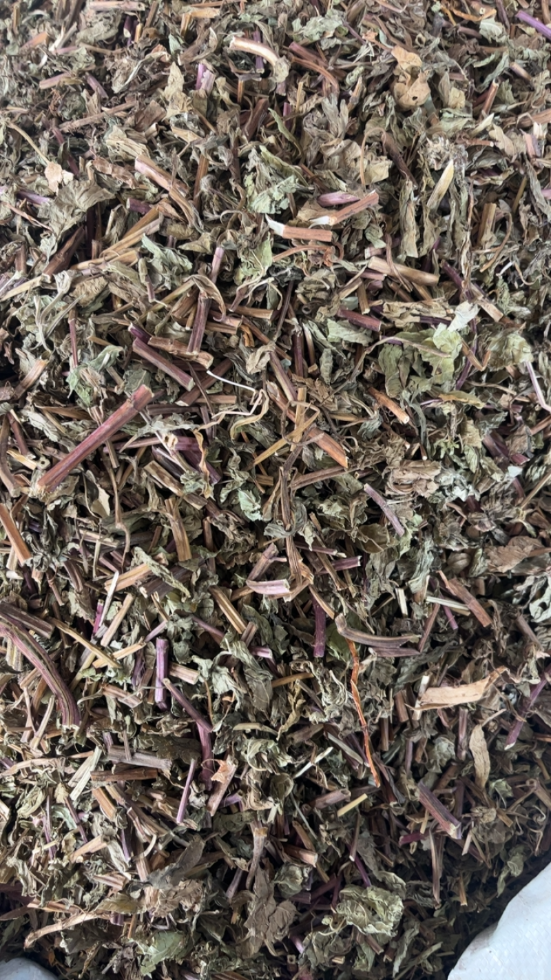 薄荷薄荷切段
