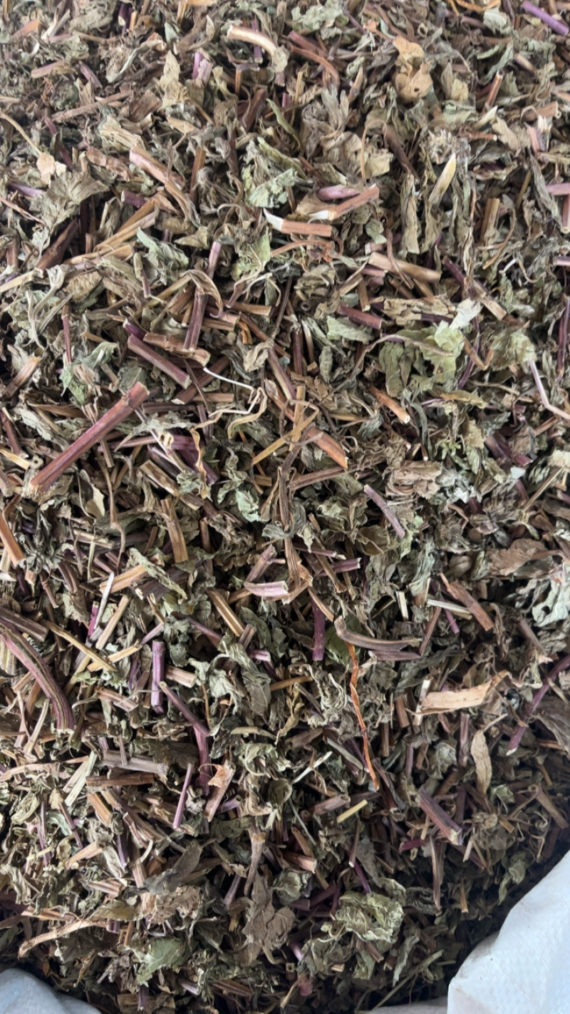 薄荷薄荷切段