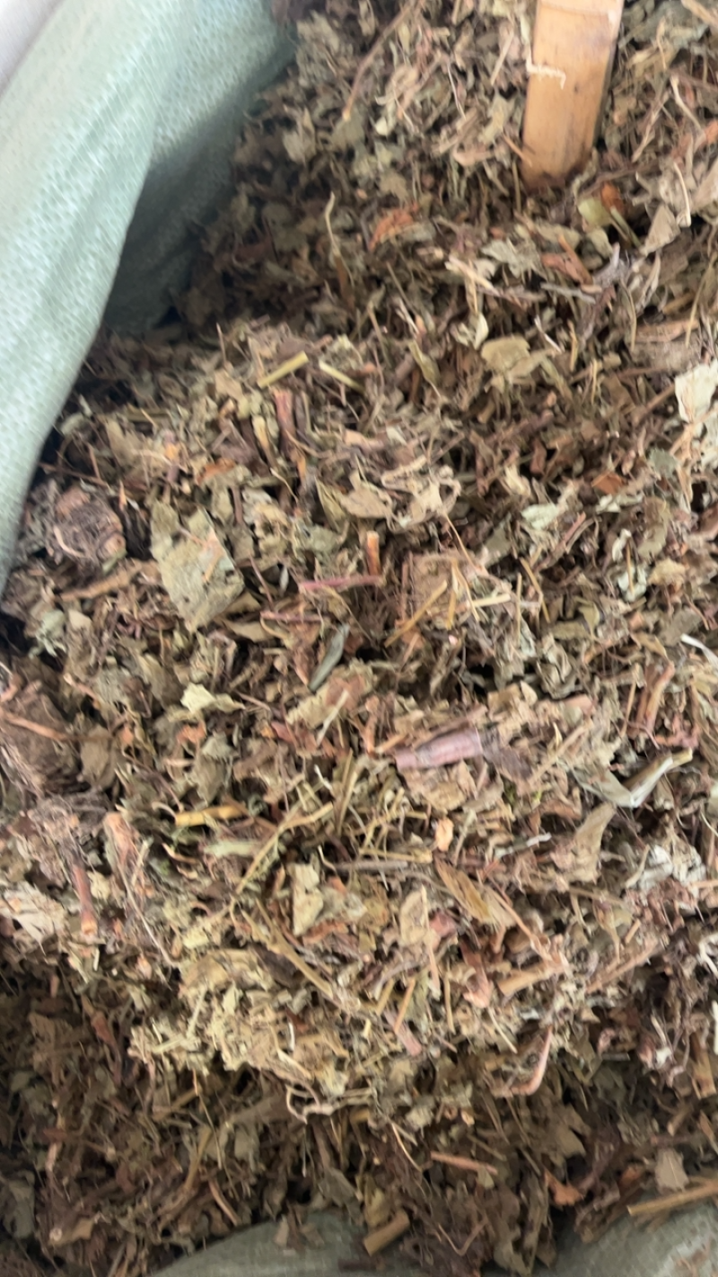 仙鹤草仙鹤草仙鹤草……！