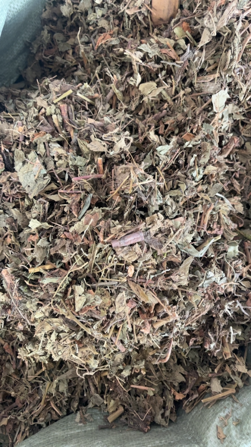 仙鹤草仙鹤草仙鹤草……！