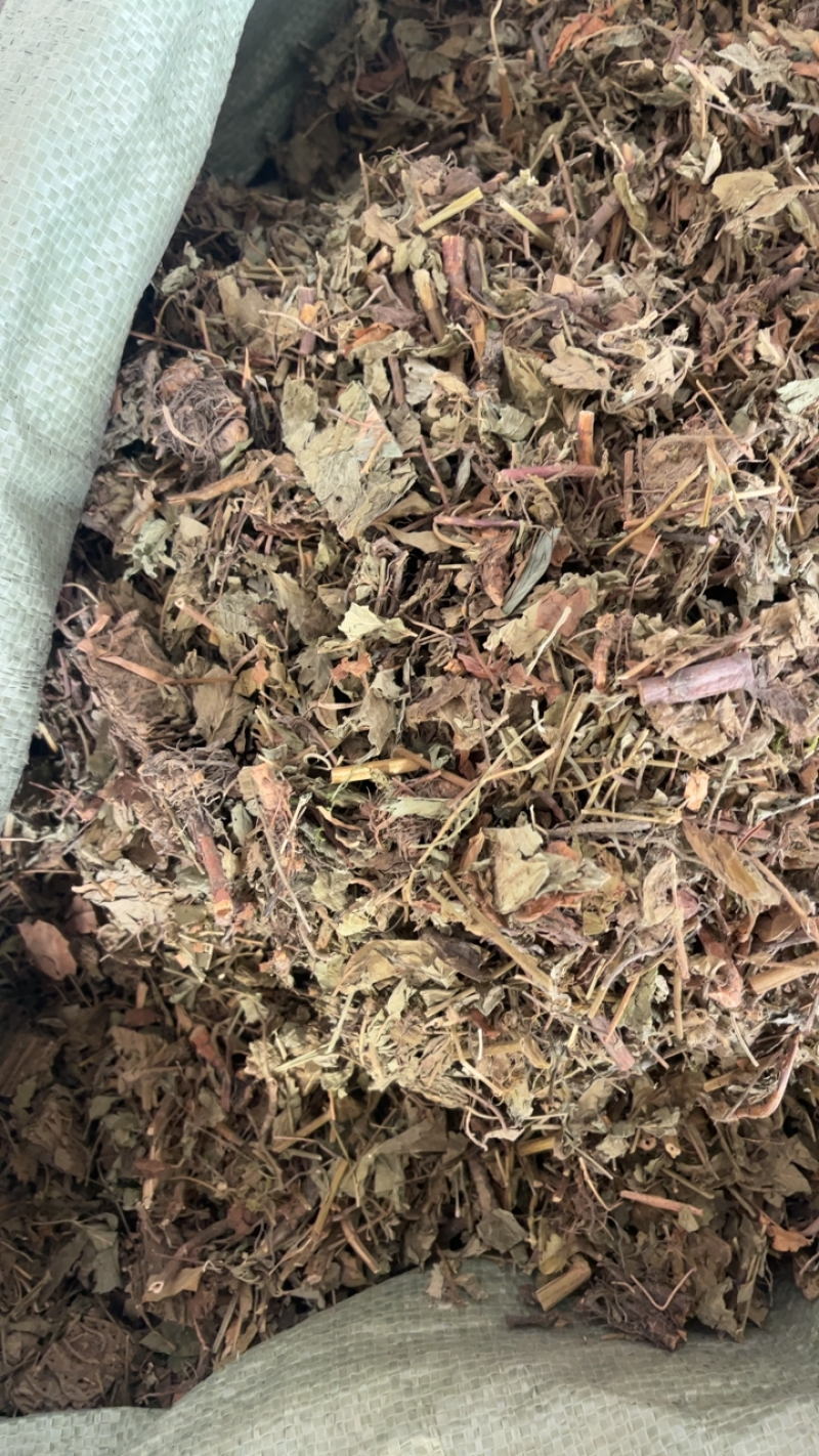 仙鹤草仙鹤草仙鹤草……！