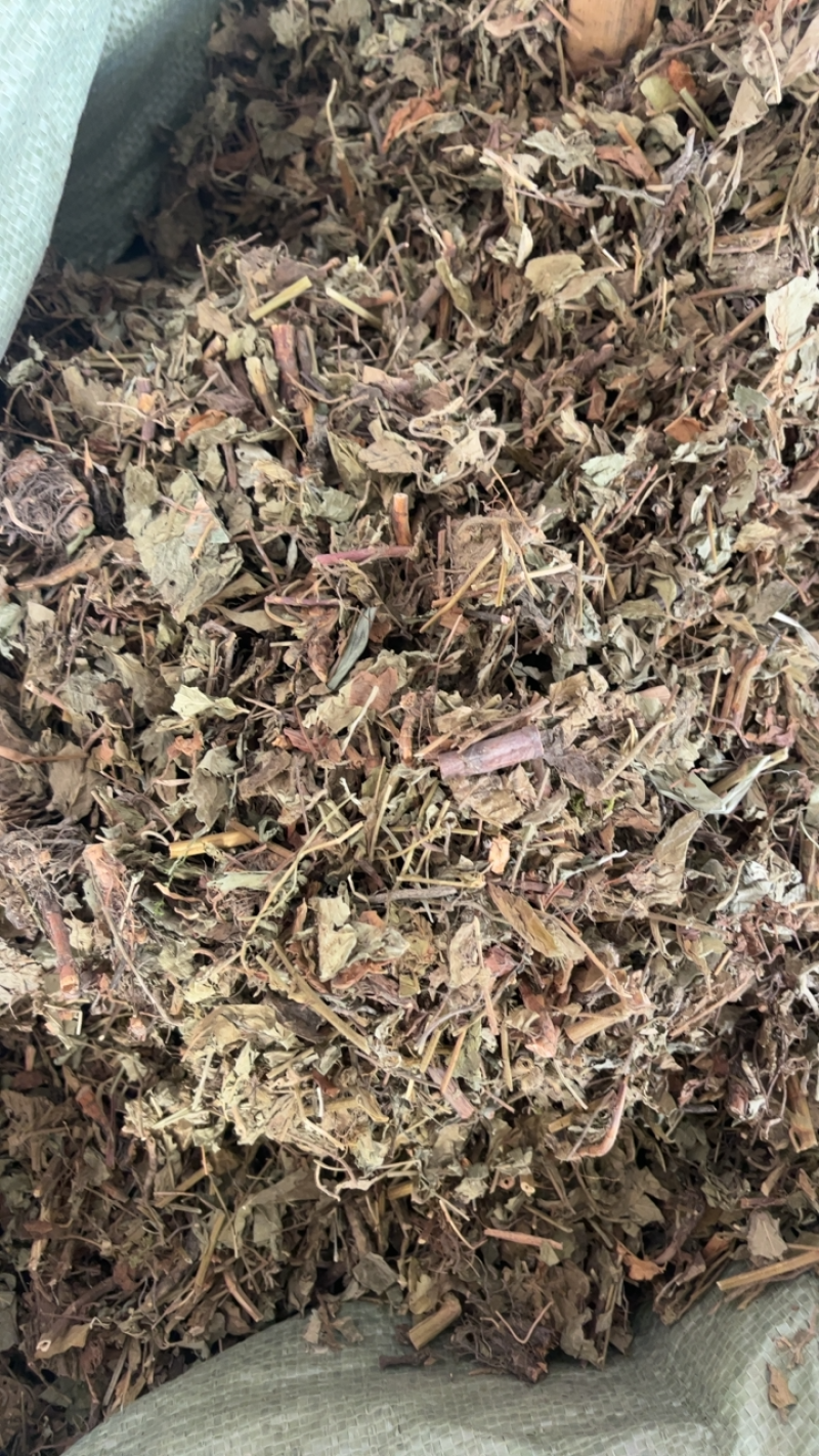 仙鹤草仙鹤草仙鹤草……！