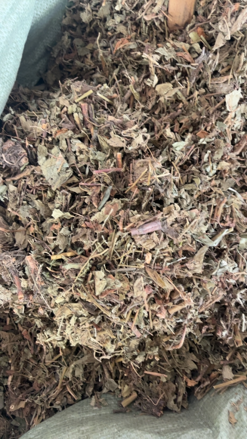 仙鹤草仙鹤草仙鹤草……！