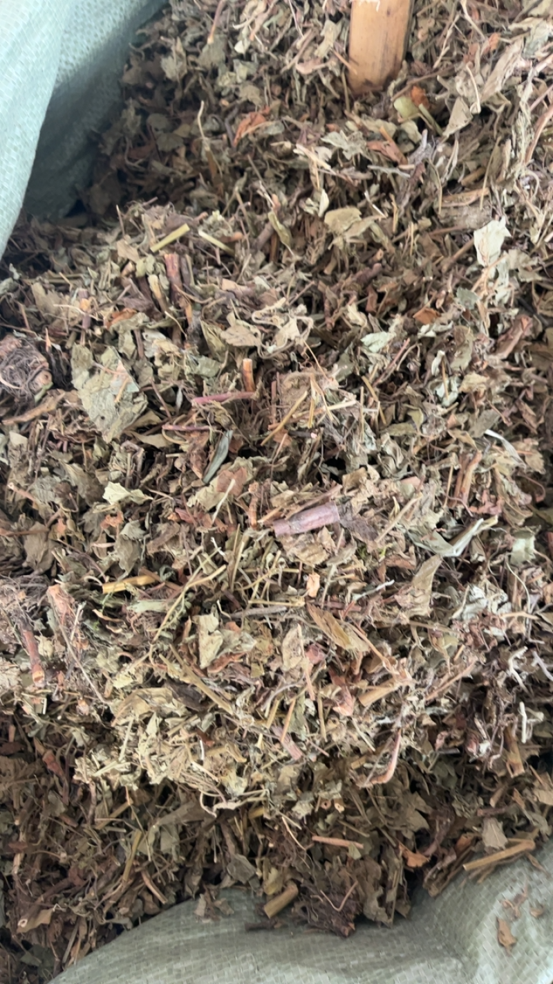 仙鹤草仙鹤草仙鹤草……！