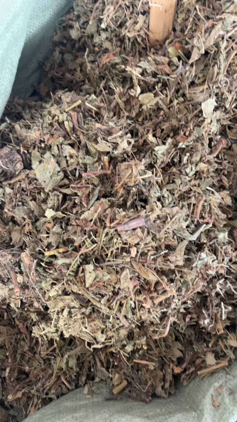 仙鹤草仙鹤草仙鹤草……！