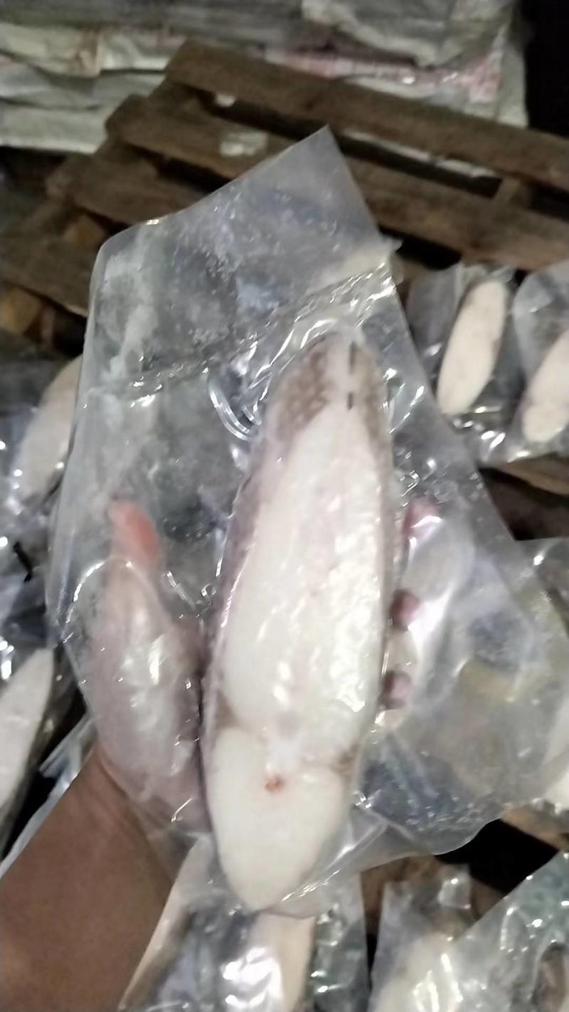 深海鳕鱼片10斤/箱雪鱼片油甘鱼块量大询价