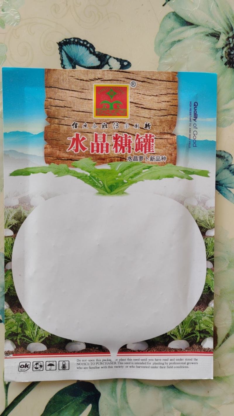 圆白萝卜种子南韩水晶萝卜种籽冰糖糖晶白皮水果籽四季蔬