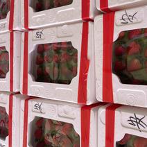 丹东红颜九九草莓镂空泡沫盒