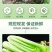 陕西西芹大量供应，全年有货，货源充足，产地直销，欢迎采购