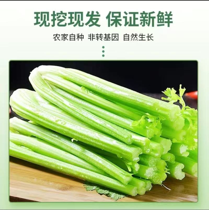 陕西西芹大量供应，全年有货，货源充足，产地直销，欢迎采购