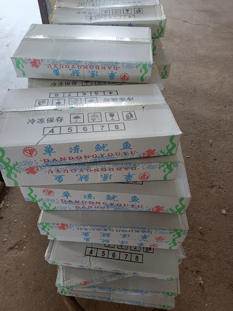 单冻鱿鱼无冰衣4条装整箱起批全国冷链物流发货