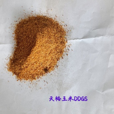 天裕玉米DDGS