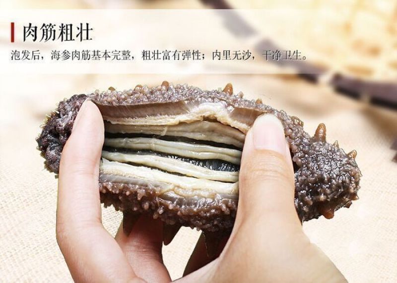 海参干货，淡干海参辽刺参非即食海参，品质保证，欢迎来电