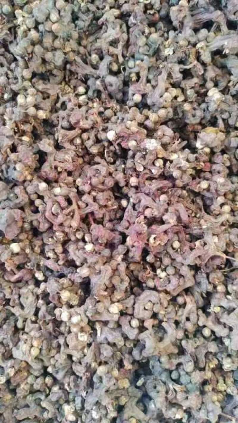 干拐枣去枝拐枣干当年新货批发零售欢迎选购