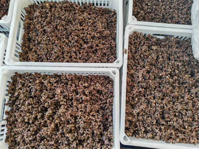 干拐枣去枝拐枣干当年新货批发零售欢迎选购